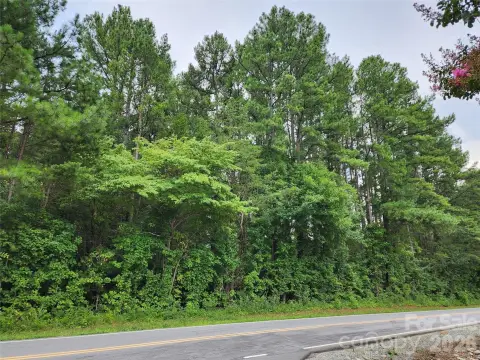 Commercial Land with Mature Pine Timber