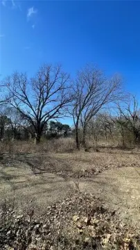 Wooded Land with Development Potential