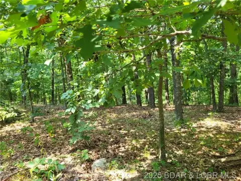Wooded Lot Near Lake Ozarks