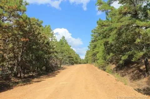 Wooded Recreational Land Tract