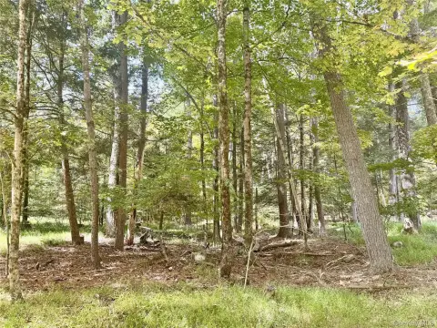 Wooded Land Parcel