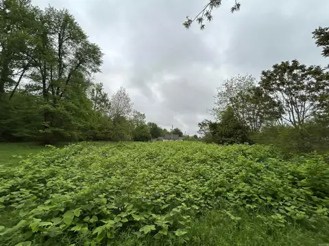 Residential Lot in Mena, AR