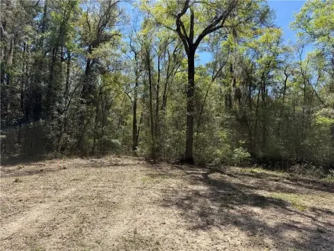 Residential Lot in Waverly, GA