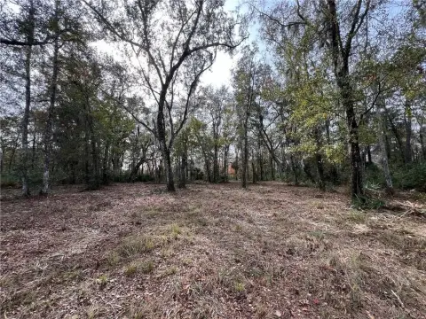 Marsh Front Homesite Opportunity