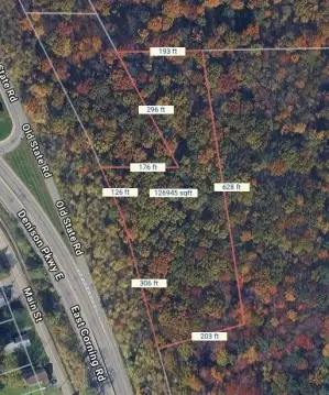 Wooded Commercial Land
