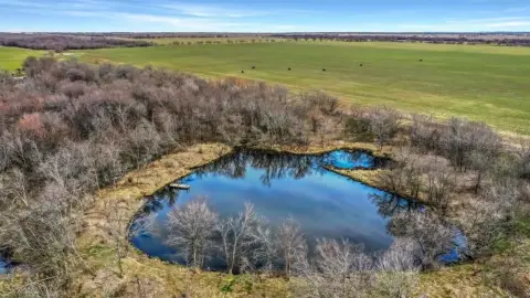 Land with Creek, Pond, Trees