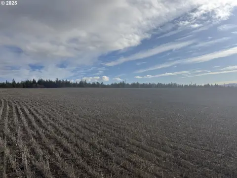 Land with Mountain Views