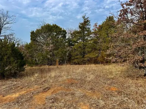 88 Acres of Texas Land