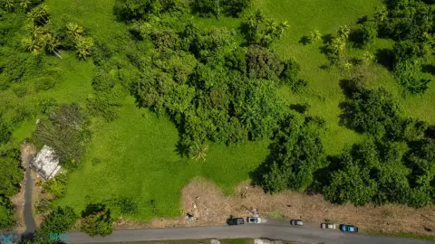 Land with El Yunque Views