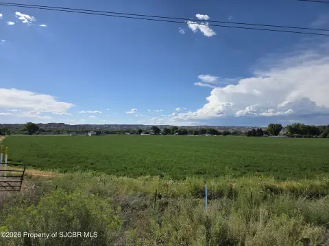 Irrigated Agricultural Land