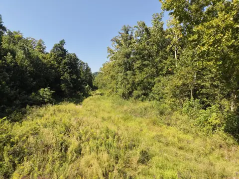Hunting Land with Creek