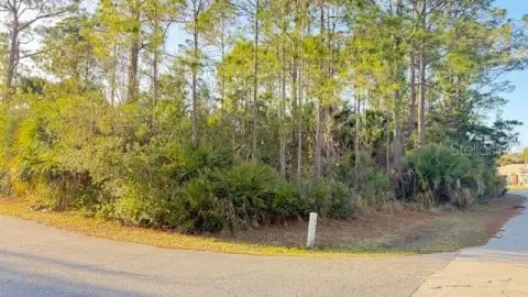 Residential Land in Palm Coast