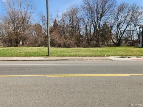Detroit Vacant Land For Sale