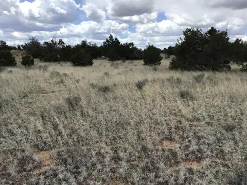 Recreation Land with Open Views