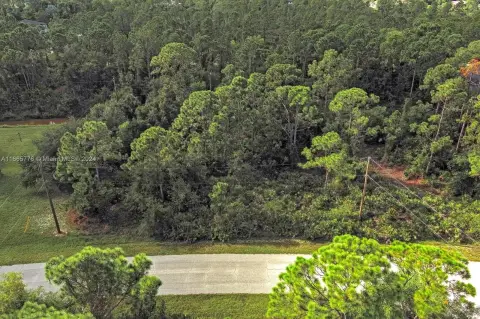 Waterfront Lot in Punta Gorda