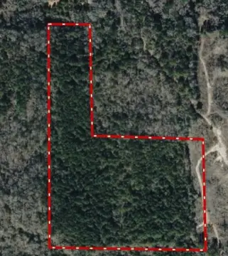 Timber and Hunting Land Tract
