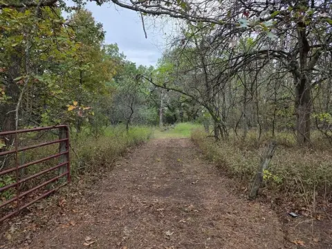 Osceola Land with Hunting/Fishing Potential