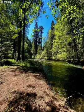 McKenzie Bridge Waterfront Land