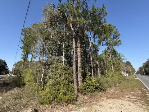 Santa Rosa Beach Wooded Lot