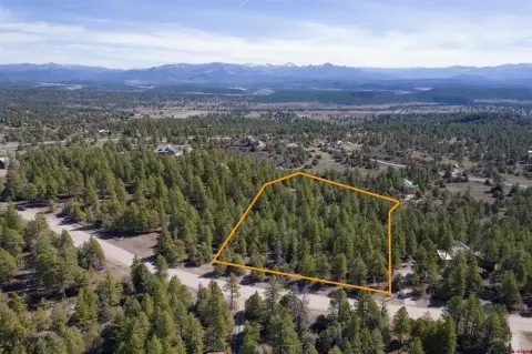 Pagosa Springs Wooded Acreage