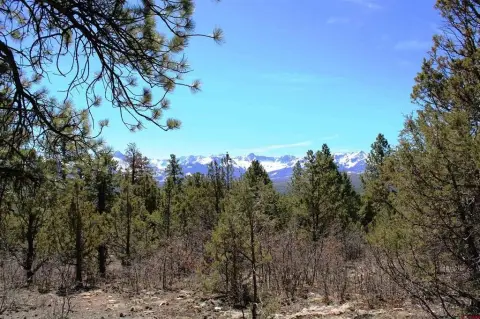 35-Acre Parcel in Ridgway, Colorado