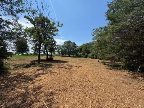 Wooded Land with Road Access