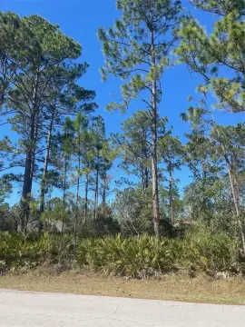 Homesite in Quiet Cul-de-Sac