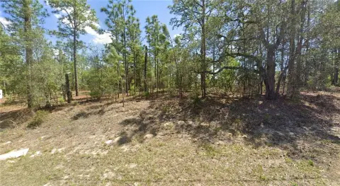 Corner Lot in Citrus Springs