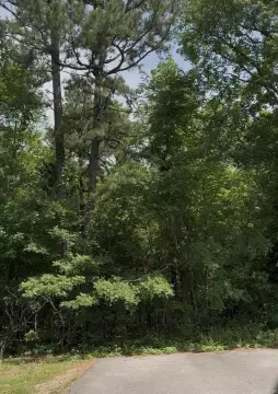 20 Acres in Conway, AR