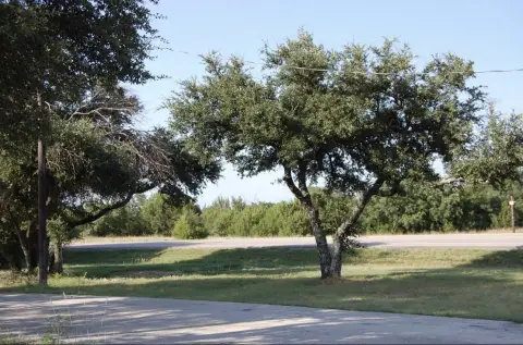 Commercial Land With Shop