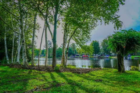 Lakefront Waterfront Land