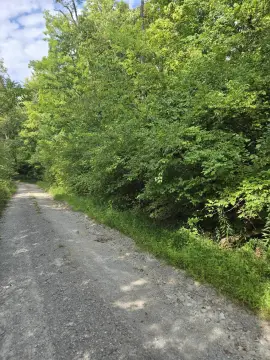 Two-Lot Waterfront Land