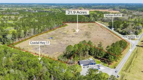 Cleared Commercial Land in Townsend, GA