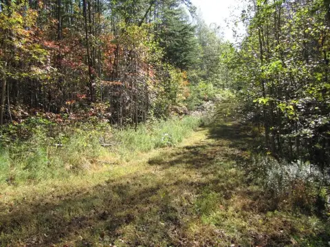 Land in Quiet Rural Area