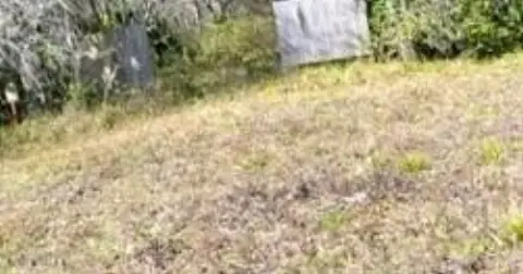 Vacant Lot in East Palatka