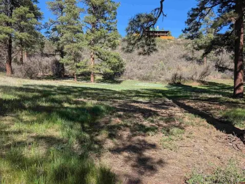 Acre Lot in Pagosa Springs