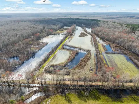 Waterfowl Hunting Land