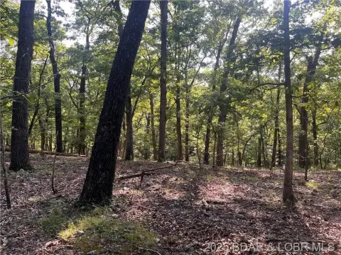 Wooded Land in Gravois Mills