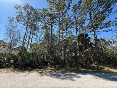 Vacant Lot in Palm Coast
