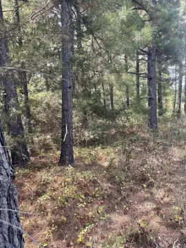 Quitman, AR Subdivision Lot