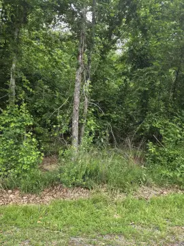 Subdivision Lot with Lake View