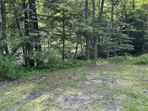 Waterfront Land Parcel on Blood Brook