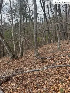 Laurel Springs Homesite in Gated Community