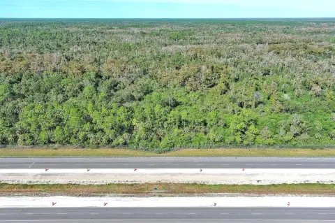 Alligator Alley Land Opportunity