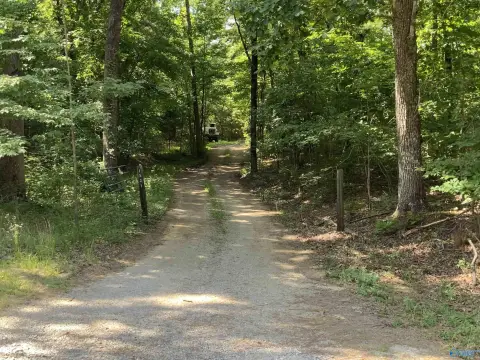 Rural Hunting and Recreation Land