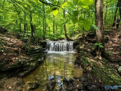 Secluded Recreational Land with Creek