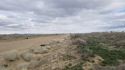 Land Parcel in Antelope Acres