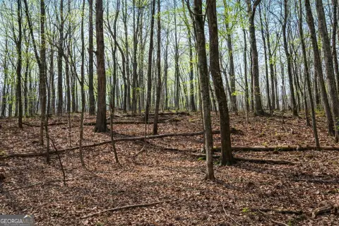 Unrestricted Land with Flowing Creek