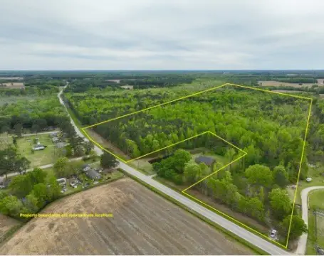 Wilson Timberland Investment Opportunity