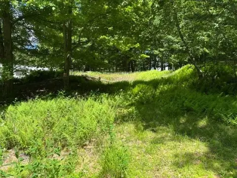 Vacant Recreation Land for Vacation Use